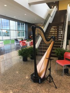 Harpist in Grand Rapids