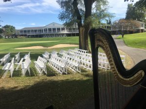 Fort Wayne Wedding Harpist