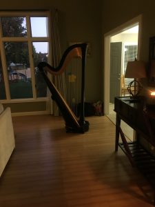 Springfield Harpist