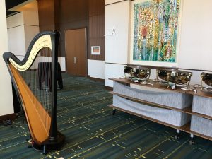 Harp Player Cedar Rapids