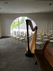 Central Missouri Harp Player