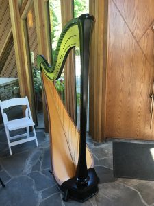 Harpist in Kansas City