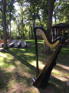 Harpist in Northern Illinois