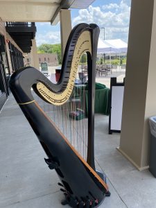 Harpist in Iowa City