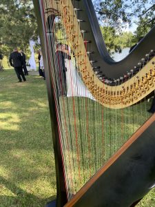 Chicago Harpist for Weddings