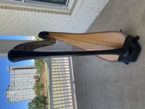 Harpist in Wichita