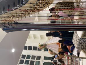 Pittsburgh Bollywood Wedding Music Harp