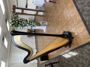 Decatur IL Harp