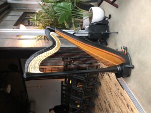 WI Wedding Harpist