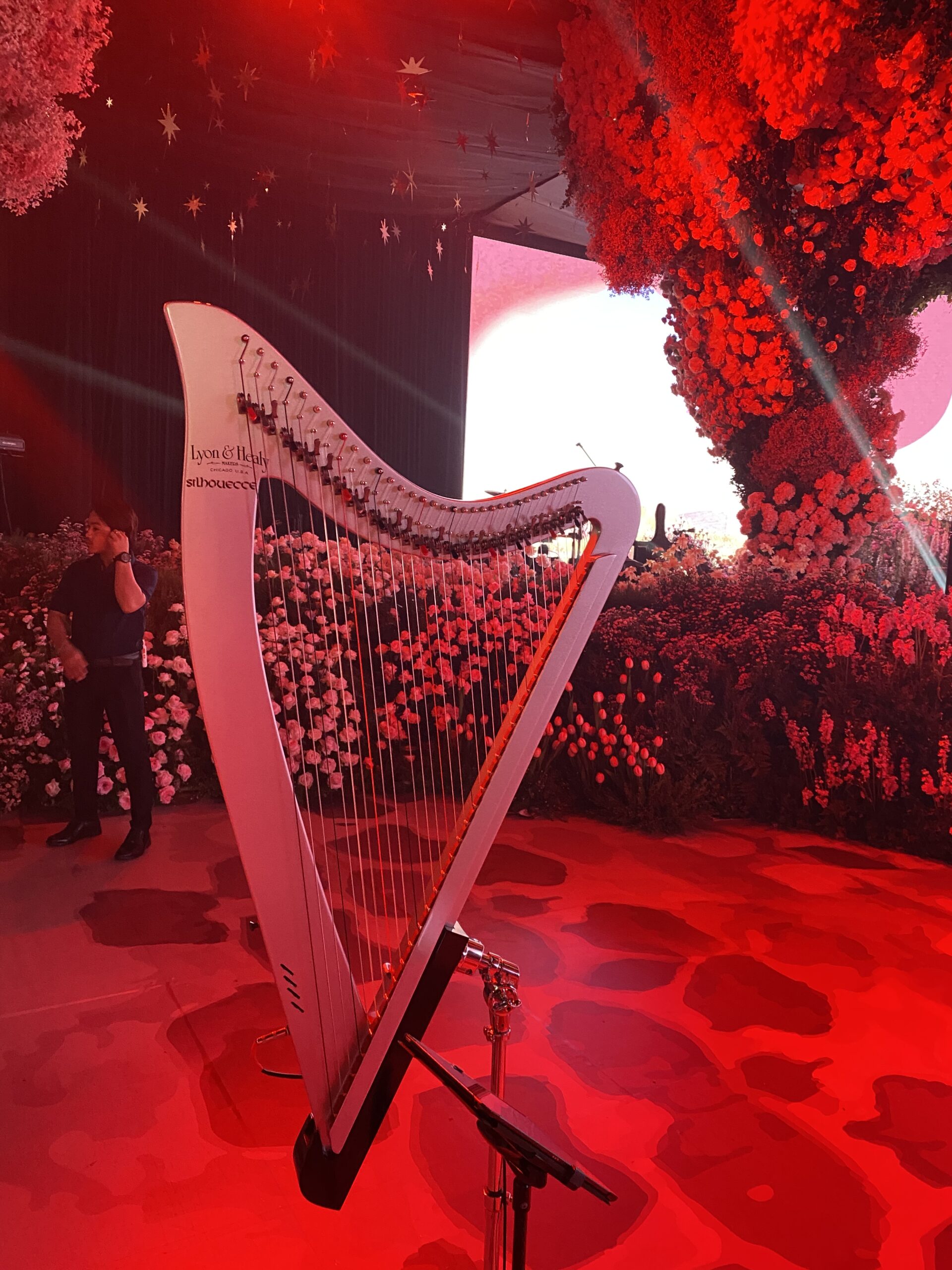 Harp in Cambodia