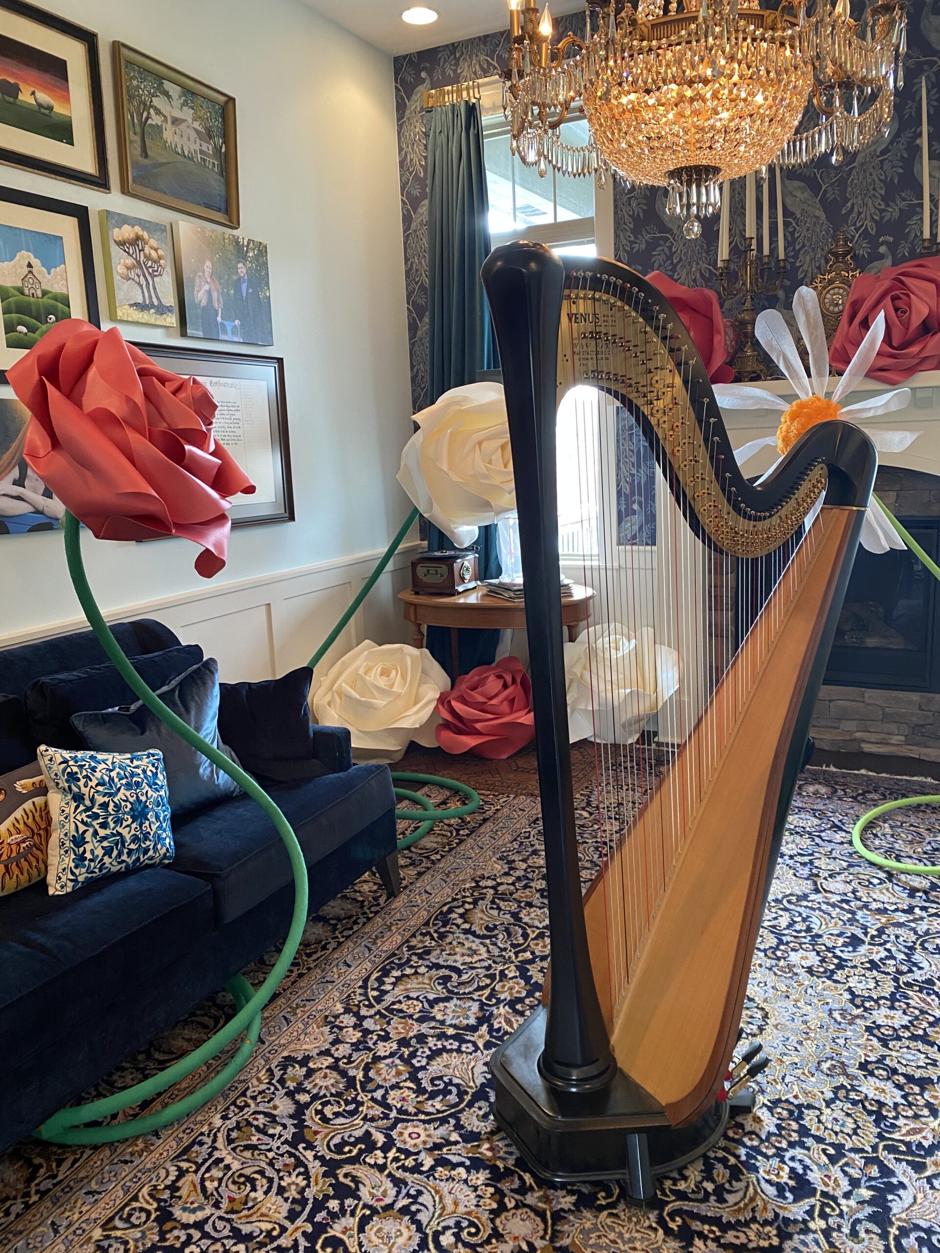 Harpist Manhattan KS