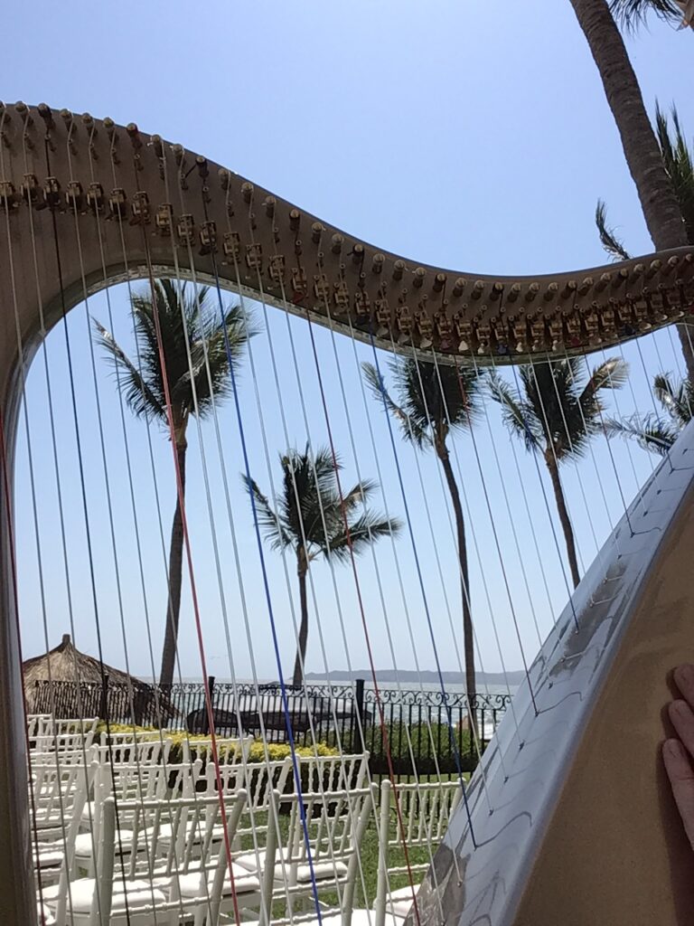 Wedding Harpist in Mexico