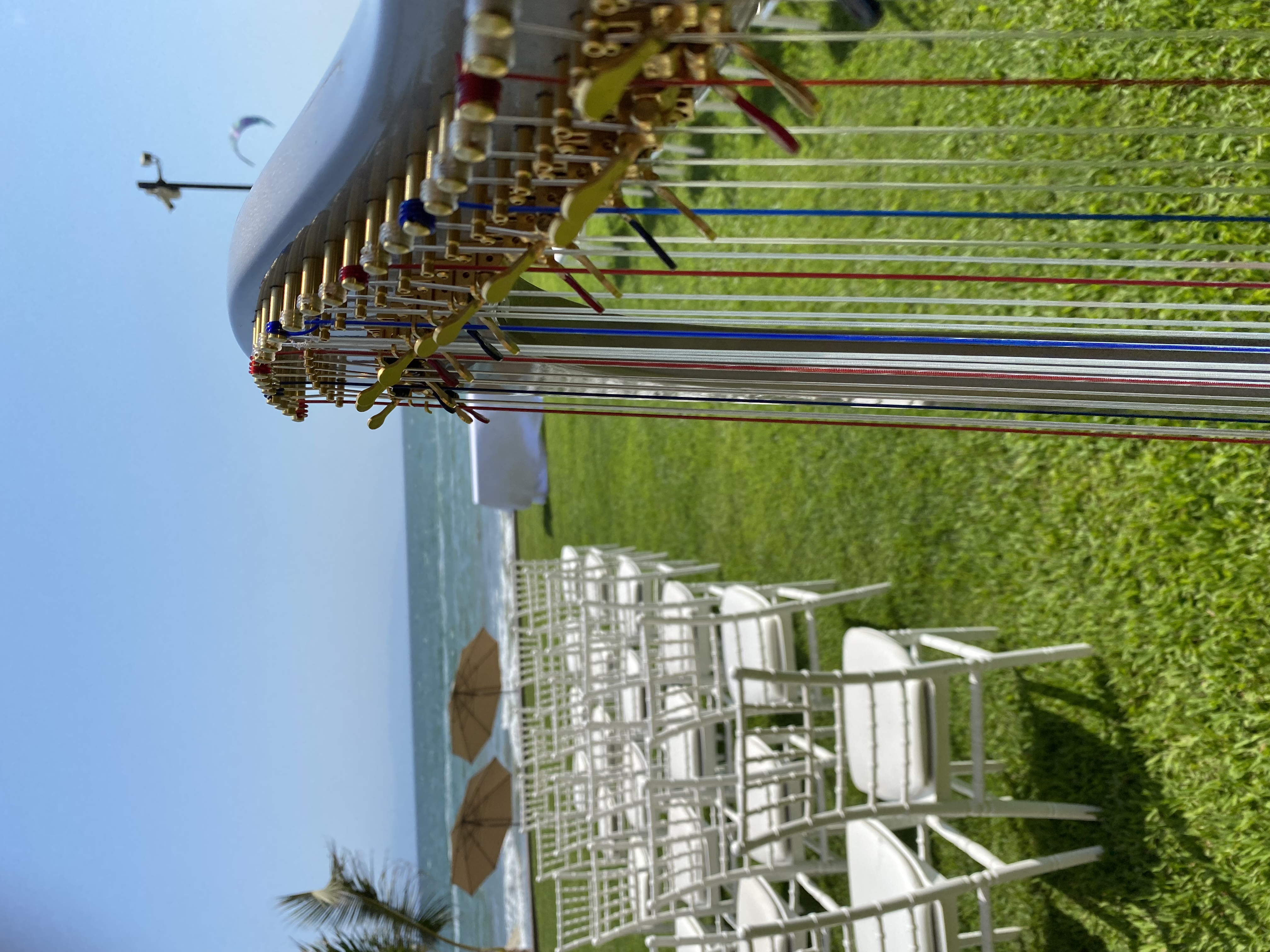 Wedding Harpist Puerto Vallarta