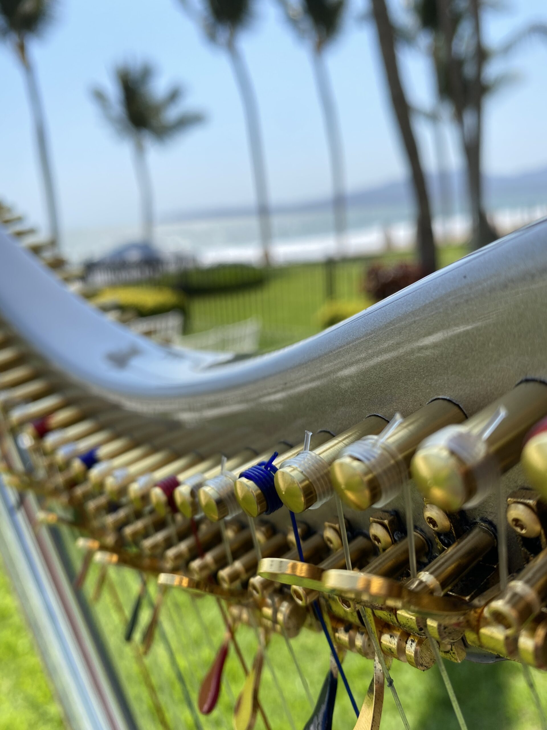 Puerto Vallarta Harpist