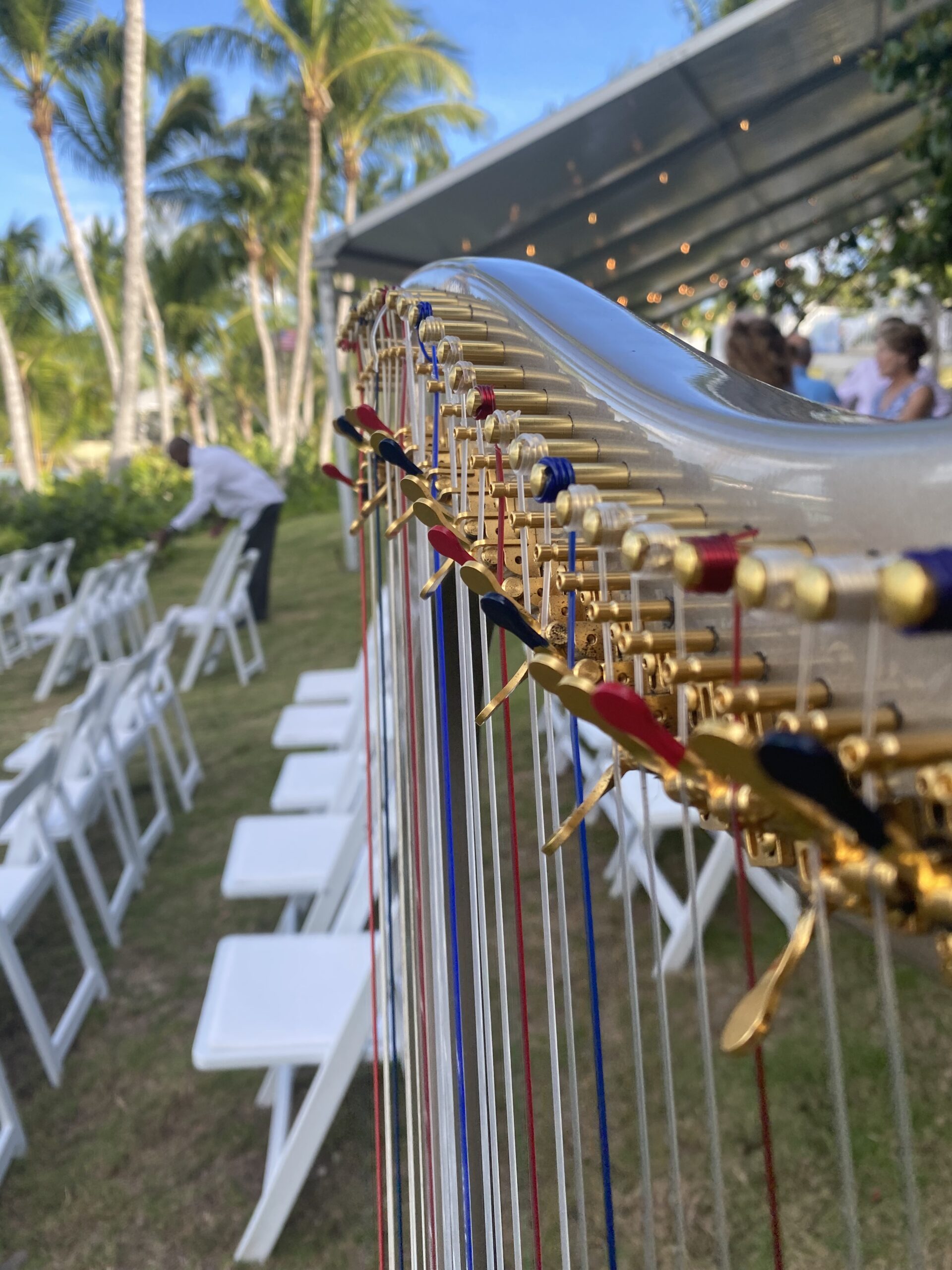 Nassau Wedding Harp Music