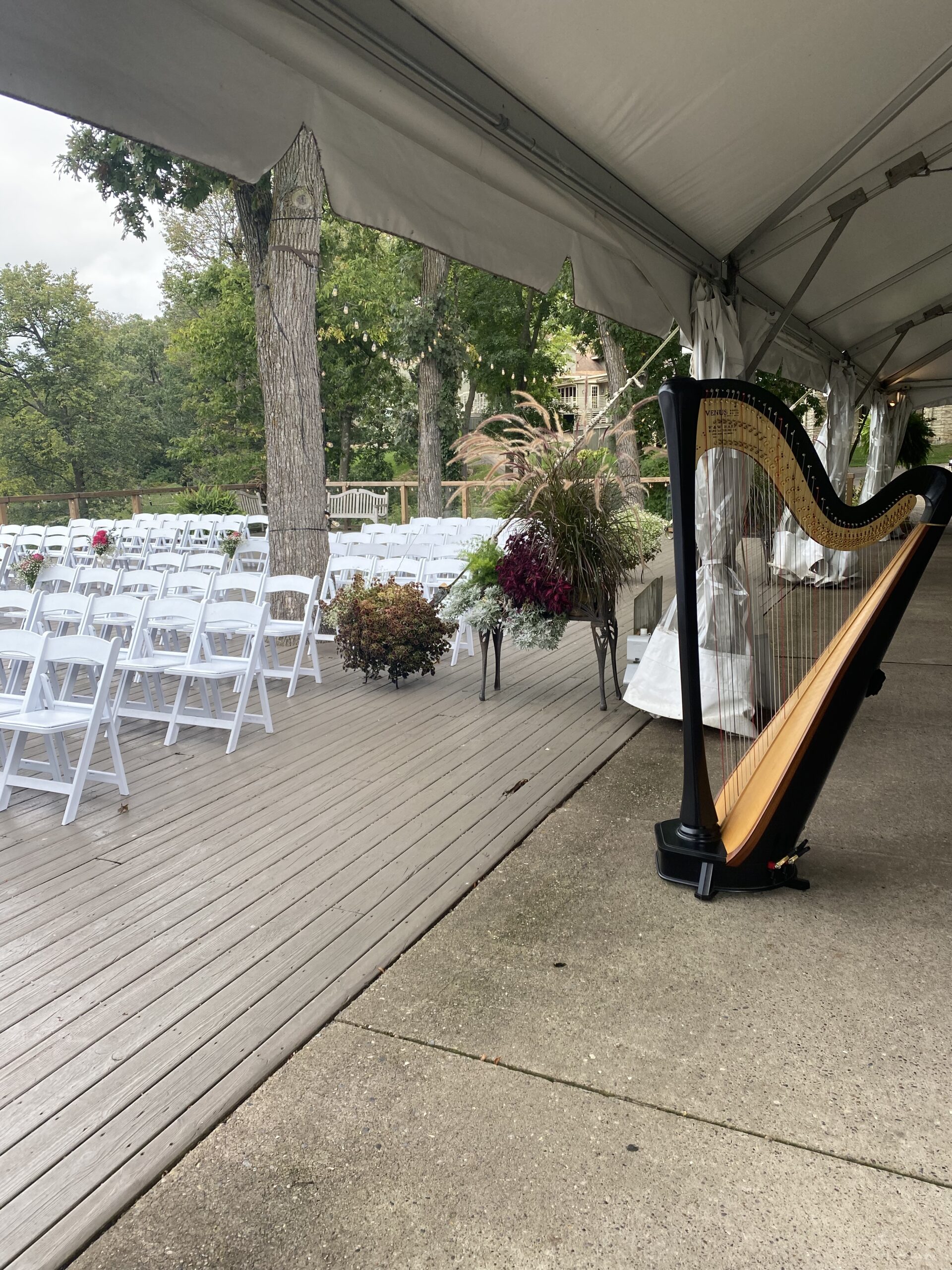 Galena Wedding Harpist