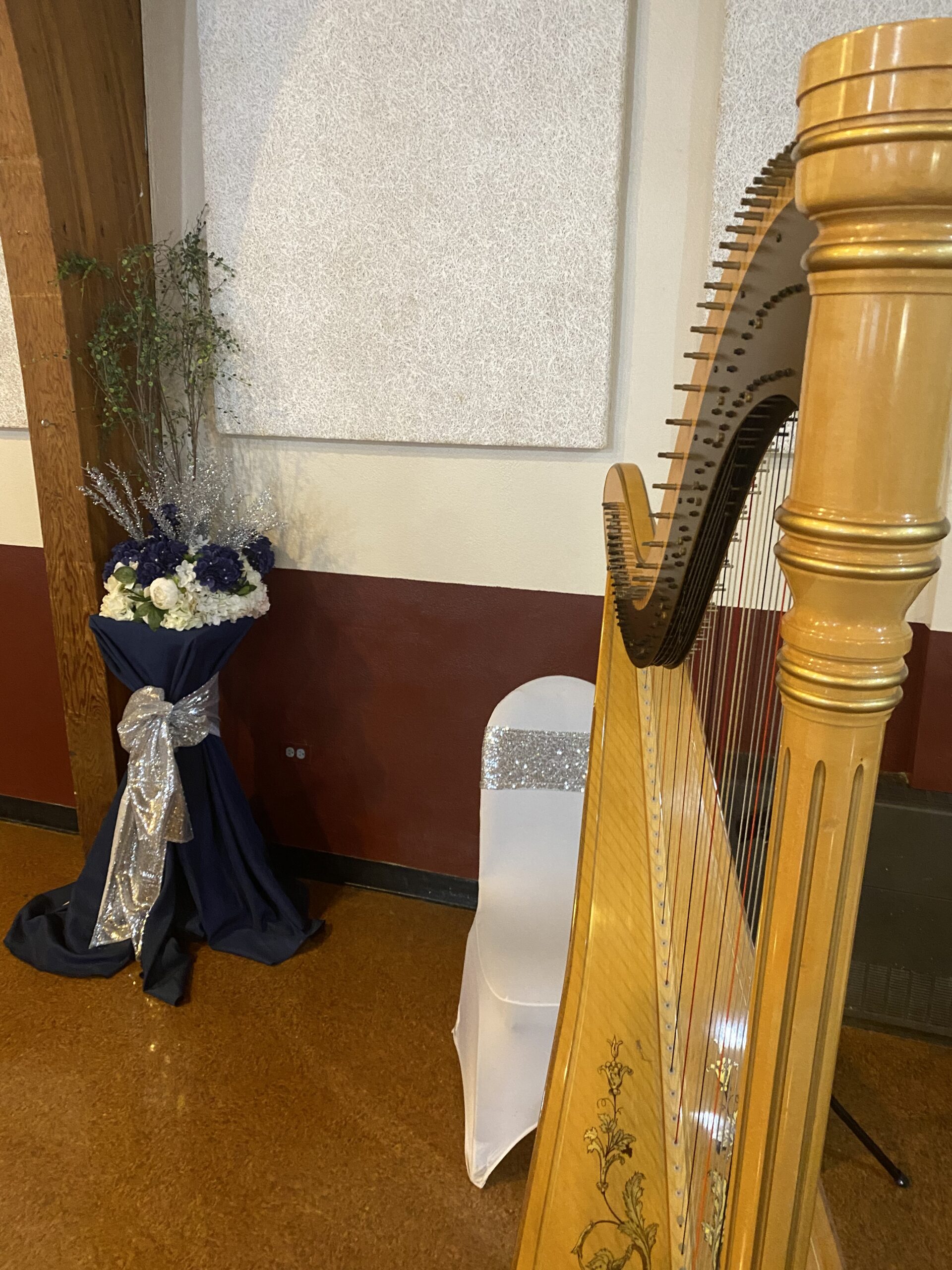 Chicago Harpist