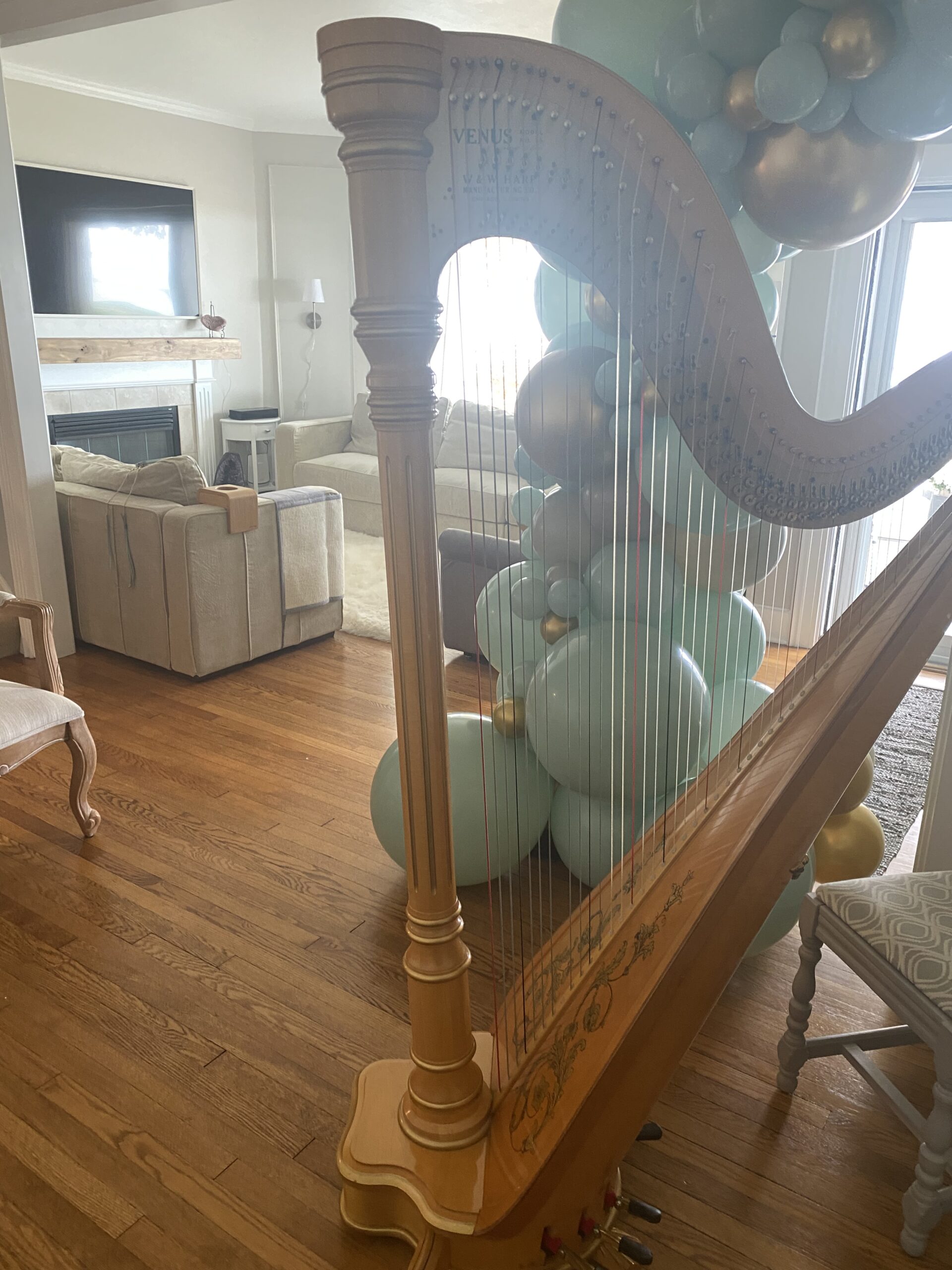 Racine Harpist