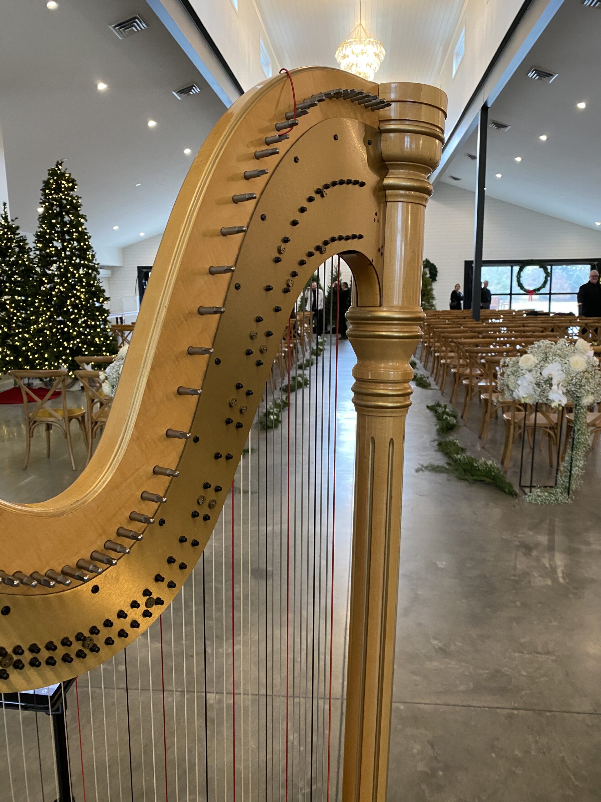 Wedding Harpist Central Illinois
