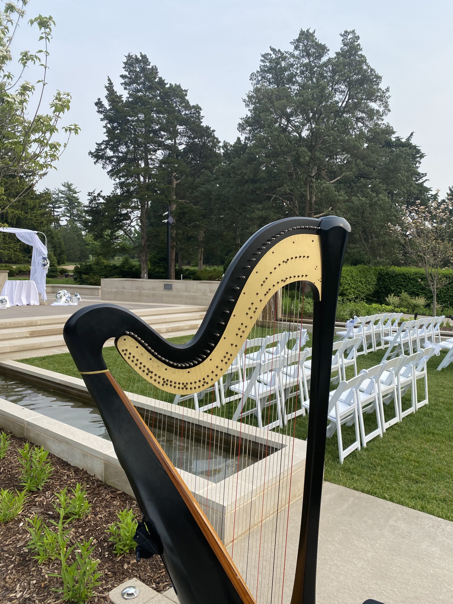Chicago Wedding Harp Music
