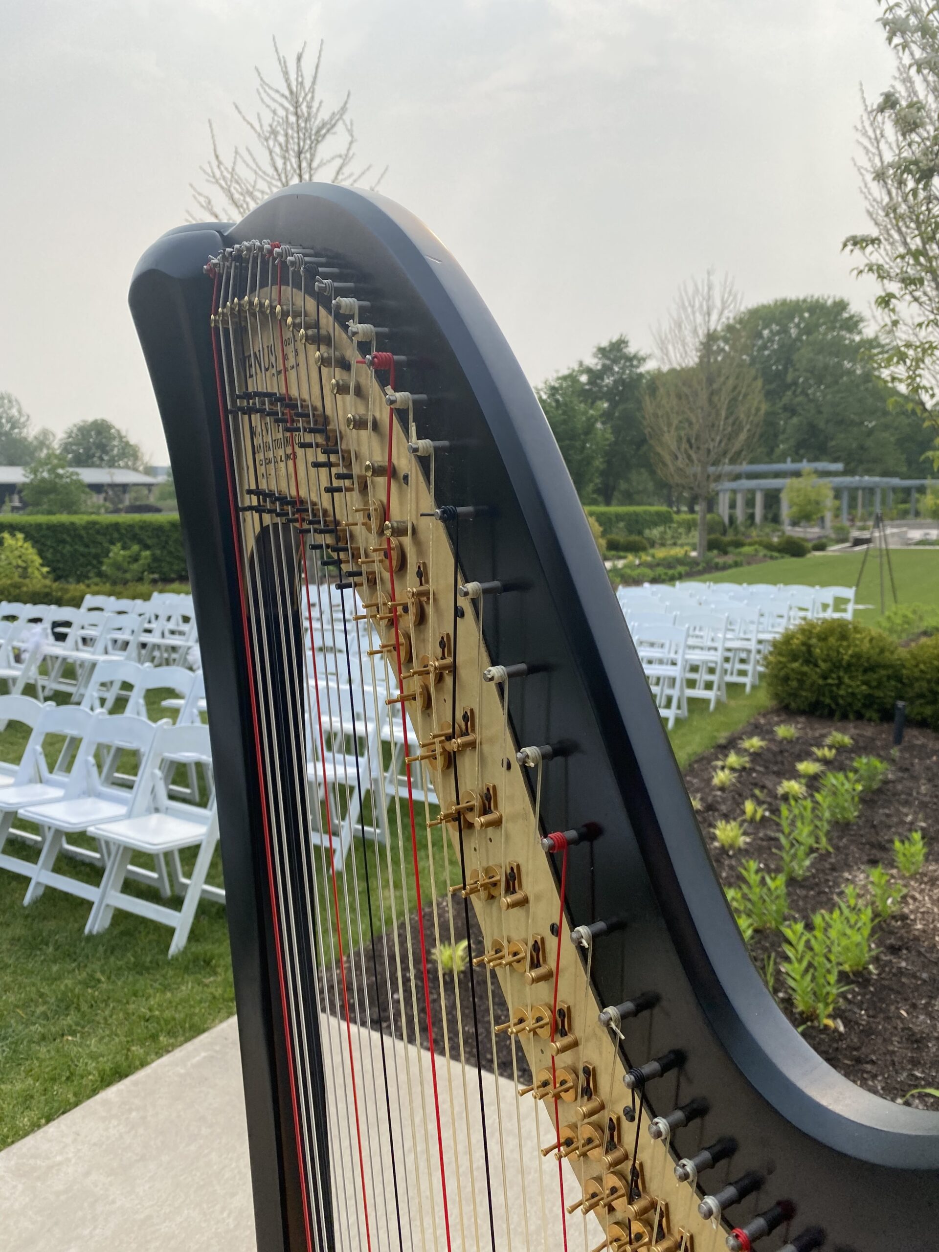 Chicago Wedding Music Harp