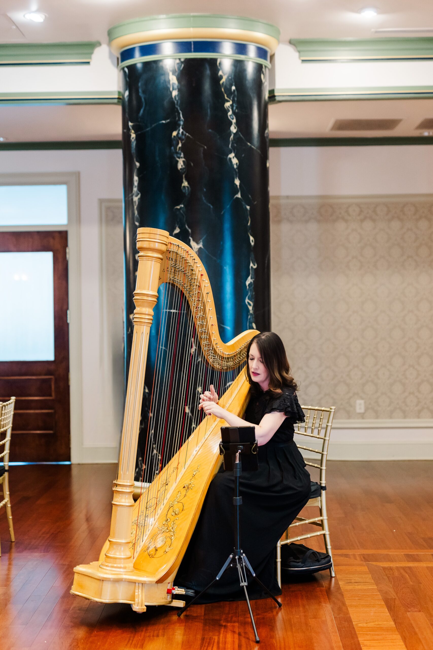 Wedding Harpist Tri-Cities Tennessee