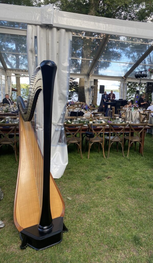 Harp for Wedding Reception Music
