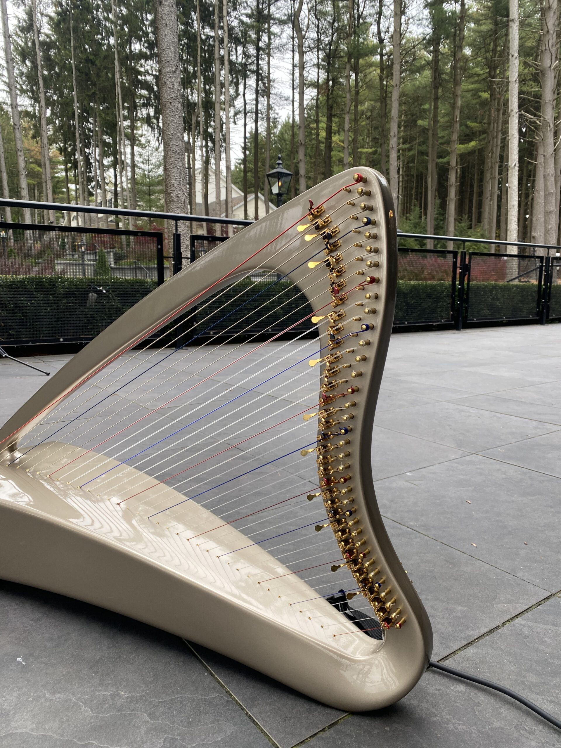 Detroit Harpist