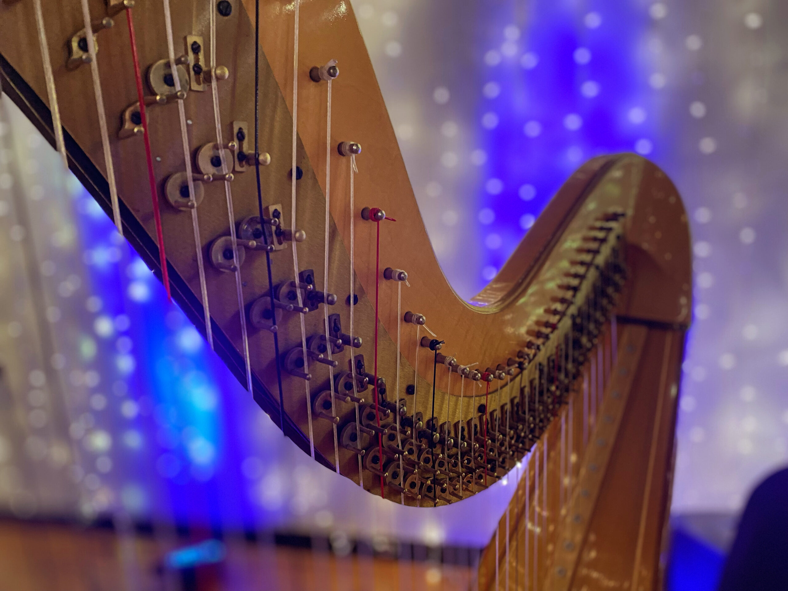 Christmas Harp Music for Hire