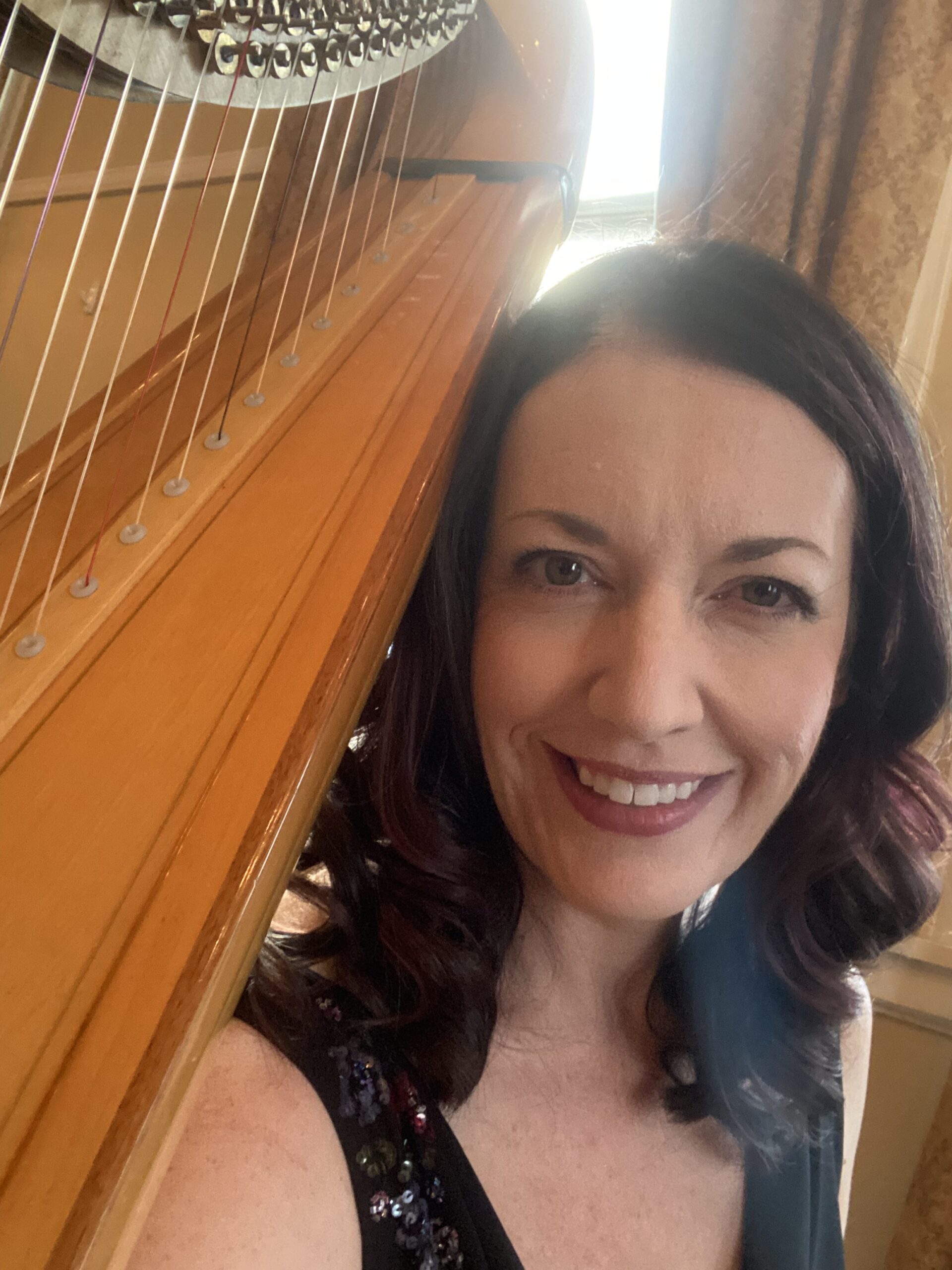 Harpist for Weddings in Central Illinois