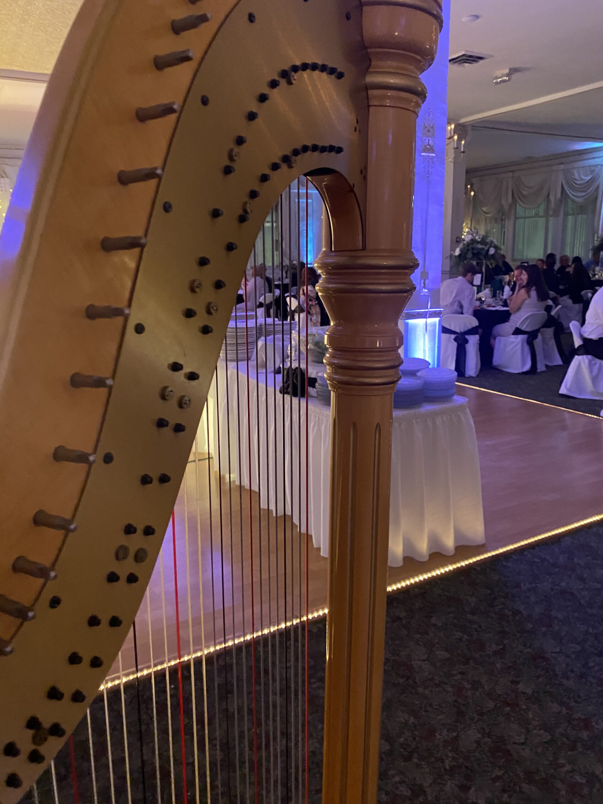 Jacksonville Harpist for Weddings