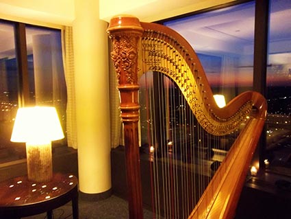 Grand Rapids Michigan Harpist