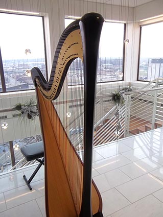 South Bend Harpist for Christmas Party