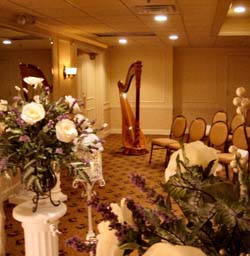 Schererville Indiana Wedding Harpist