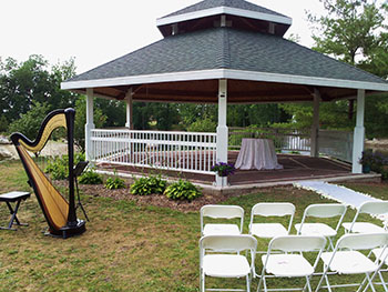 Coldwater MI Wedding Harpist