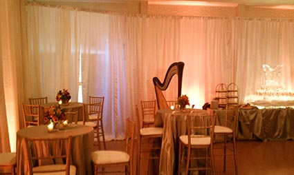 Peoria Illinois Wedding Harpist