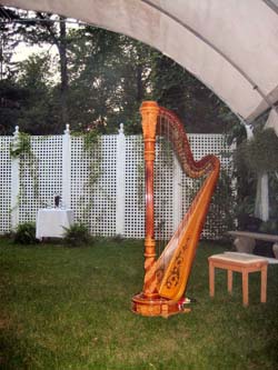 International Friendship Gardens Wedding Ceremony Harpist