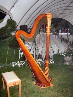 Michigan City Harpist at International Friendship Gardens Wedding
