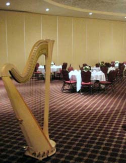 Chicago Southside Harp Player Wedding Musician