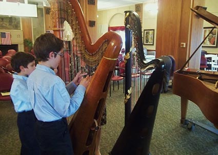 Southwest Michigan Harp Player