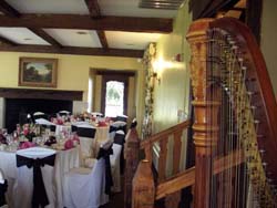 Detroit Wedding Harpist