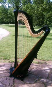 Southern Ohio Wedding Music Harp Player