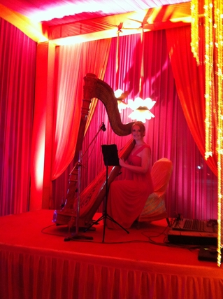 Harp Musician from America in India