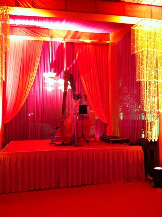 Ahmedabad International Musician for Weddings