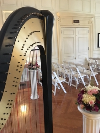 Central Illinois Harpist at an Allerton Park Wedding
