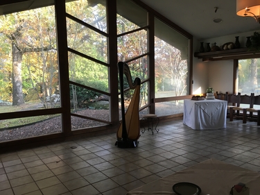 Northern Arkansas Wedding Harpist