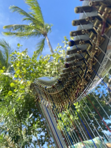 harp player bahamas