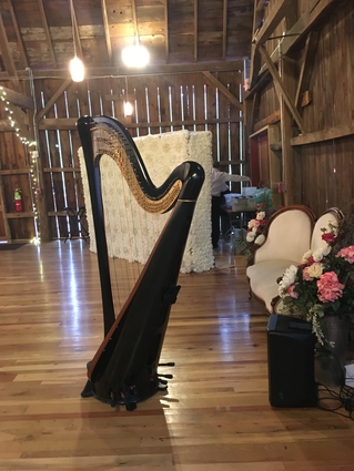 Western Wisconsin Wedding Harpist - Barn Wedding Reception