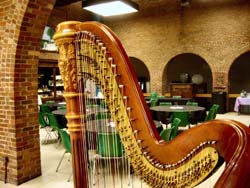 Southern Indiana Wedding Harpist