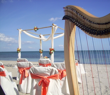 Seychelles and Mauritius Wedding Harpist